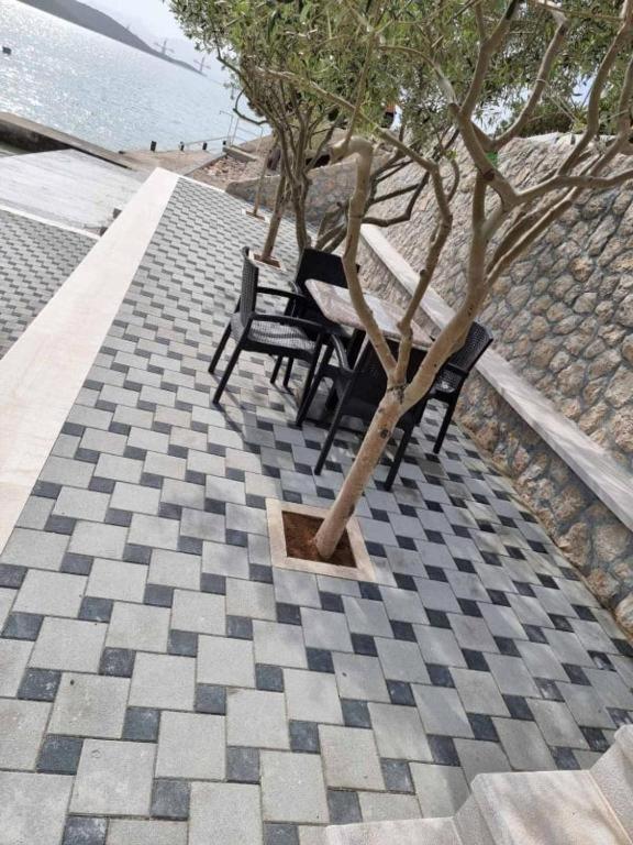 נאום Apartments Domane Nenad מראה חיצוני תמונה